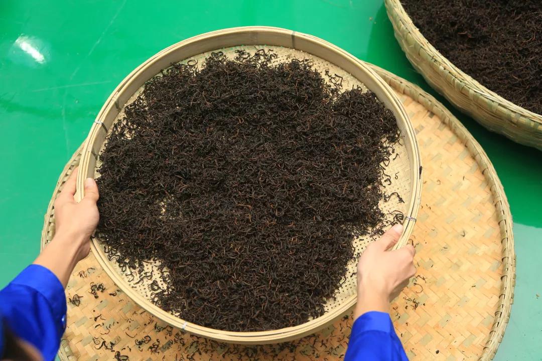 茶葉批發(fā)|養(yǎng)生茶|艾條的作用|艾灸養(yǎng)生