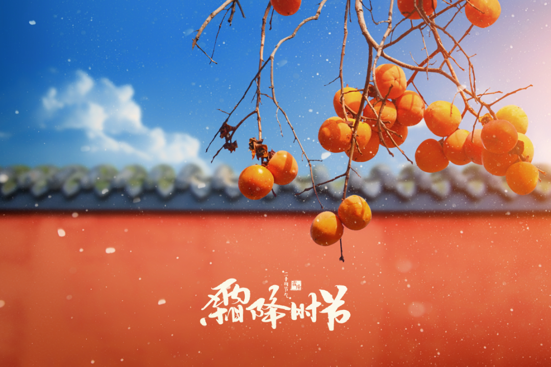 弦歌堂艾養(yǎng)生