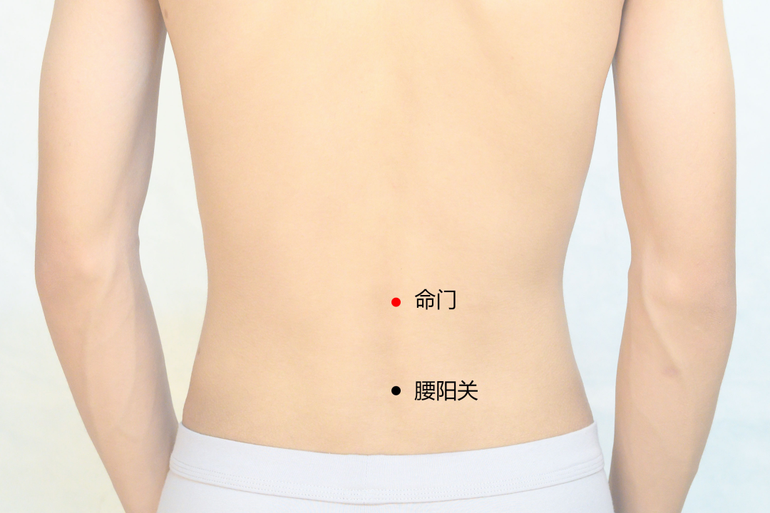 弦歌堂艾養(yǎng)生