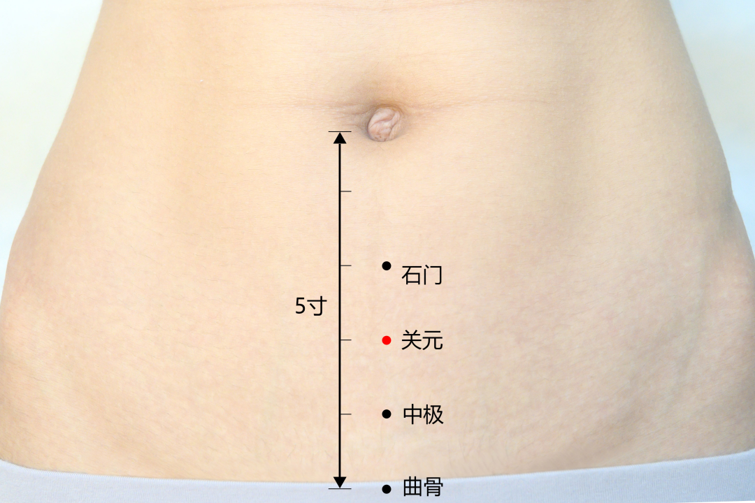 弦歌堂艾養(yǎng)生