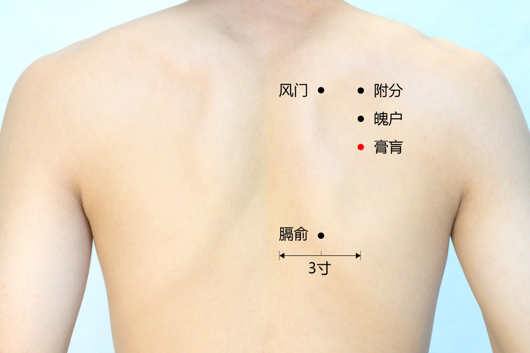 弦歌堂艾養(yǎng)生