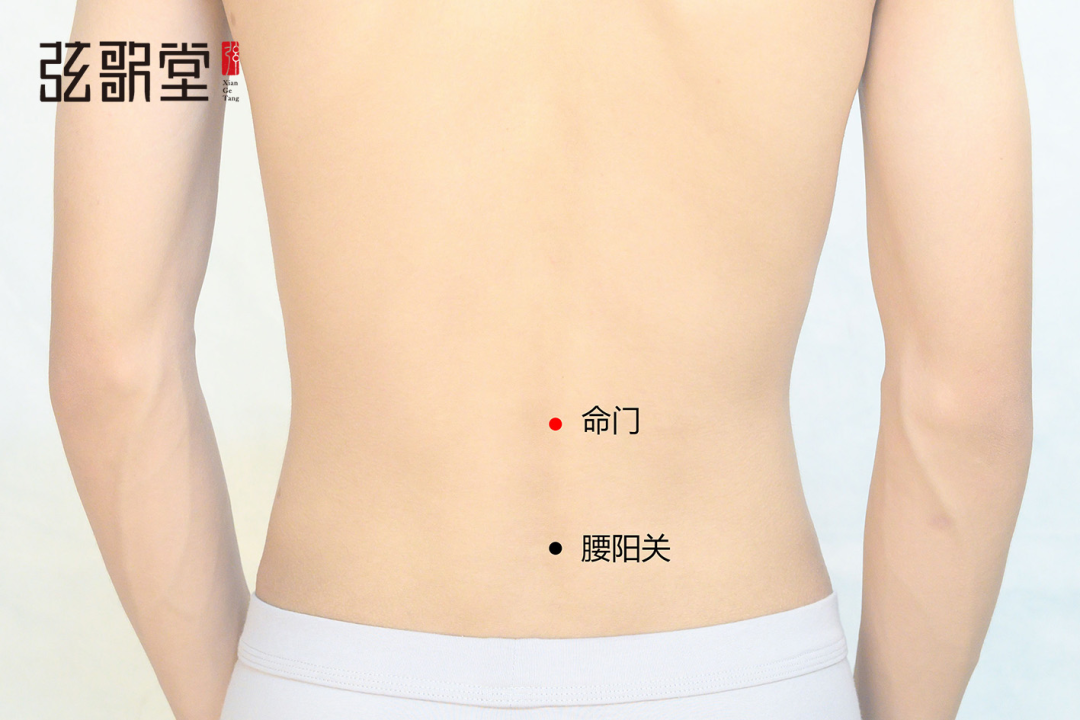 1669687160566798.png 弦歌堂艾養(yǎng)生