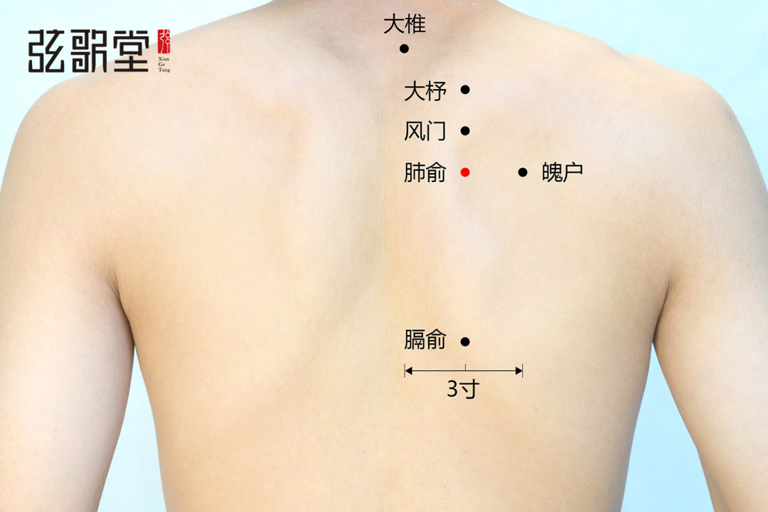 1669687161457800.png 弦歌堂艾養(yǎng)生