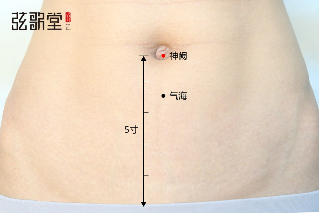 1669687161502919.png 弦歌堂艾養(yǎng)生