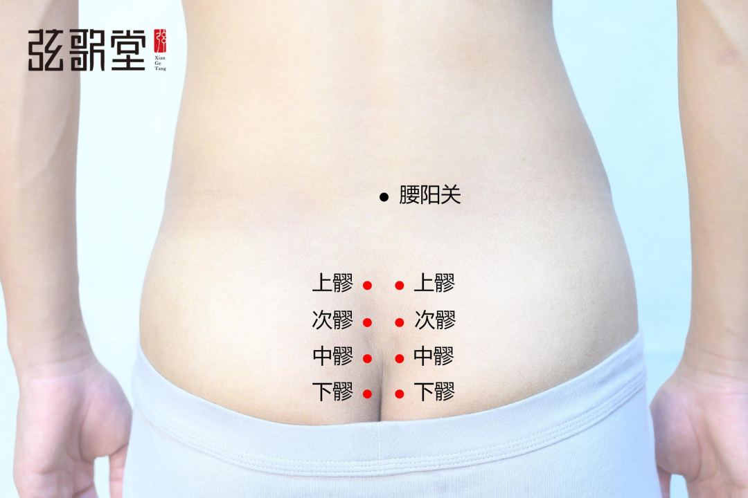 1677495489985027.png 弦歌堂艾養(yǎng)生