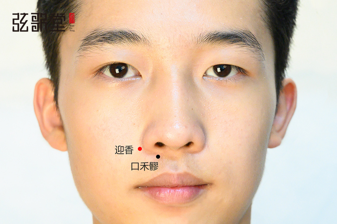 弦歌堂艾養(yǎng)生