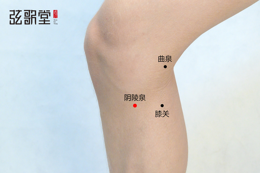 茶葉批發(fā)丨養(yǎng)生茶丨艾條的作用丨艾灸養(yǎng)生