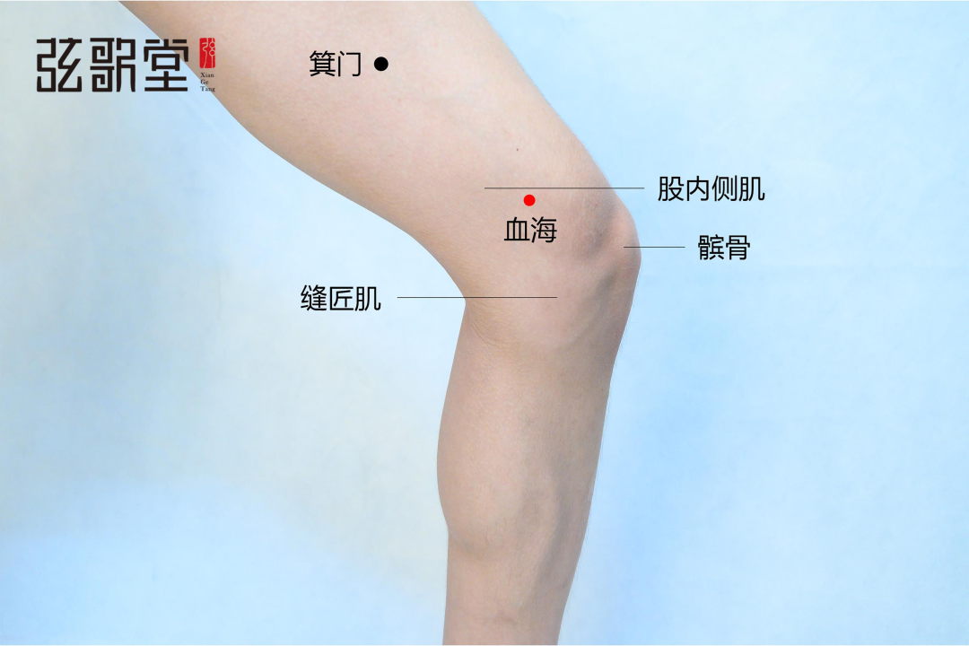 弦歌堂艾養(yǎng)生