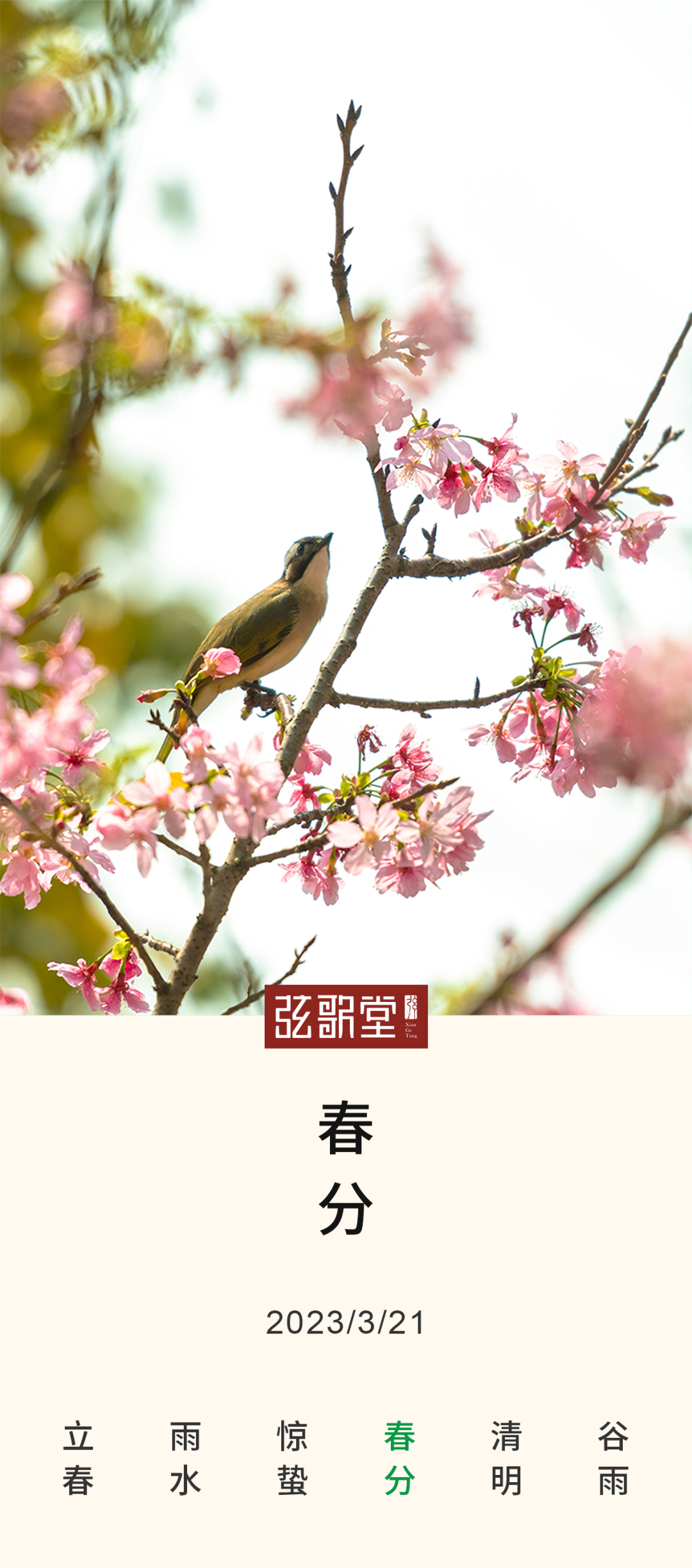 茶葉批發(fā)丨養(yǎng)生茶丨艾條的作用丨艾灸養(yǎng)生
