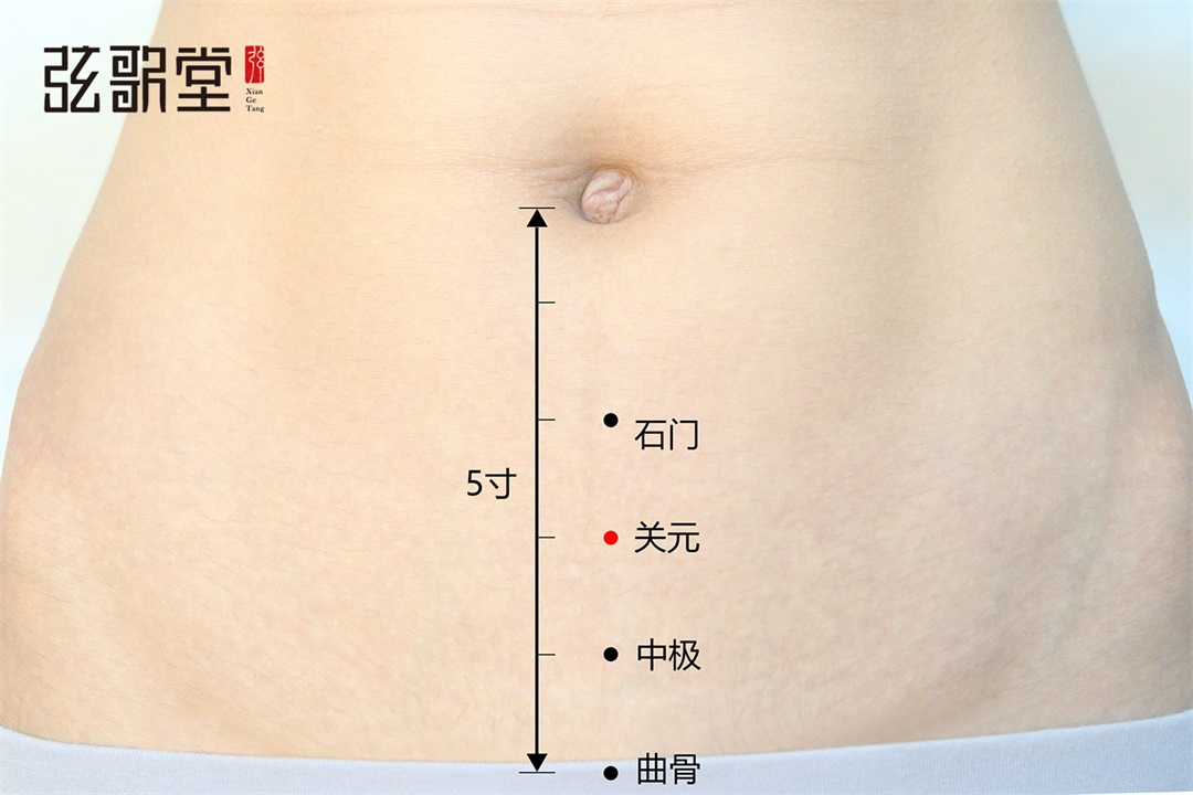 茶葉批發(fā)丨養(yǎng)生茶丨艾條的作用丨艾灸養(yǎng)生