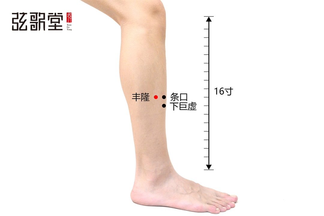 茶葉批發(fā)丨養(yǎng)生茶丨艾條的作用丨艾灸養(yǎng)生