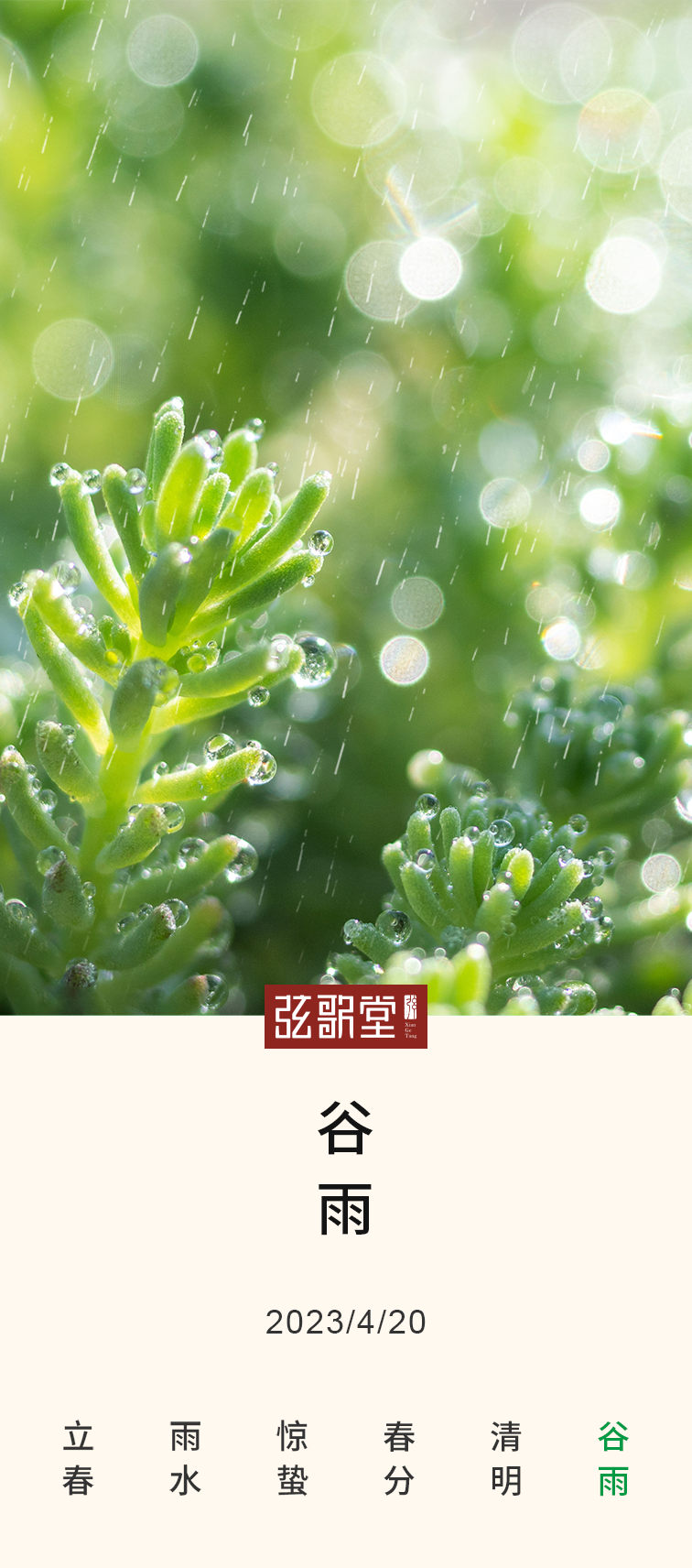 茶葉批發(fā)丨養(yǎng)生茶丨艾條的作用丨艾灸養(yǎng)生