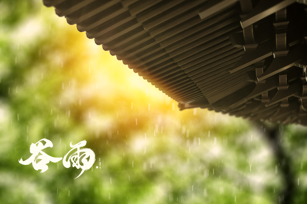 茶葉批發(fā)丨養(yǎng)生茶丨艾條的作用丨艾灸養(yǎng)生