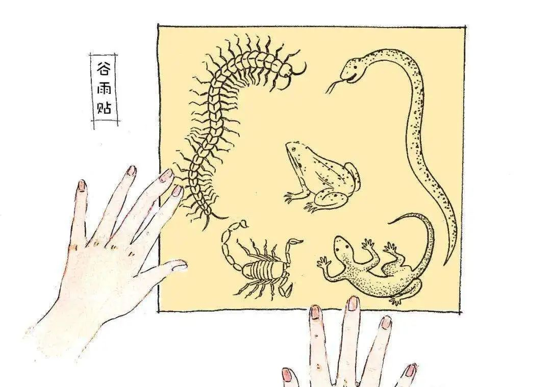 茶葉批發(fā)丨養(yǎng)生茶丨艾條的作用丨艾灸養(yǎng)生