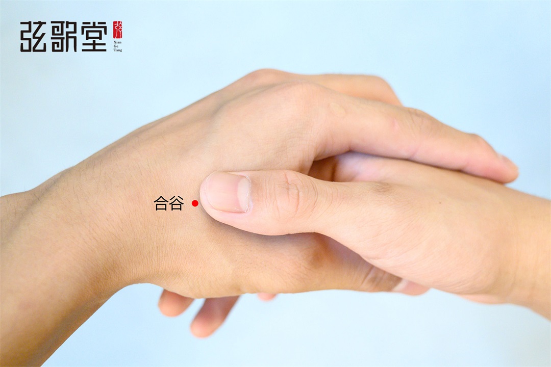 弦歌堂艾養(yǎng)生