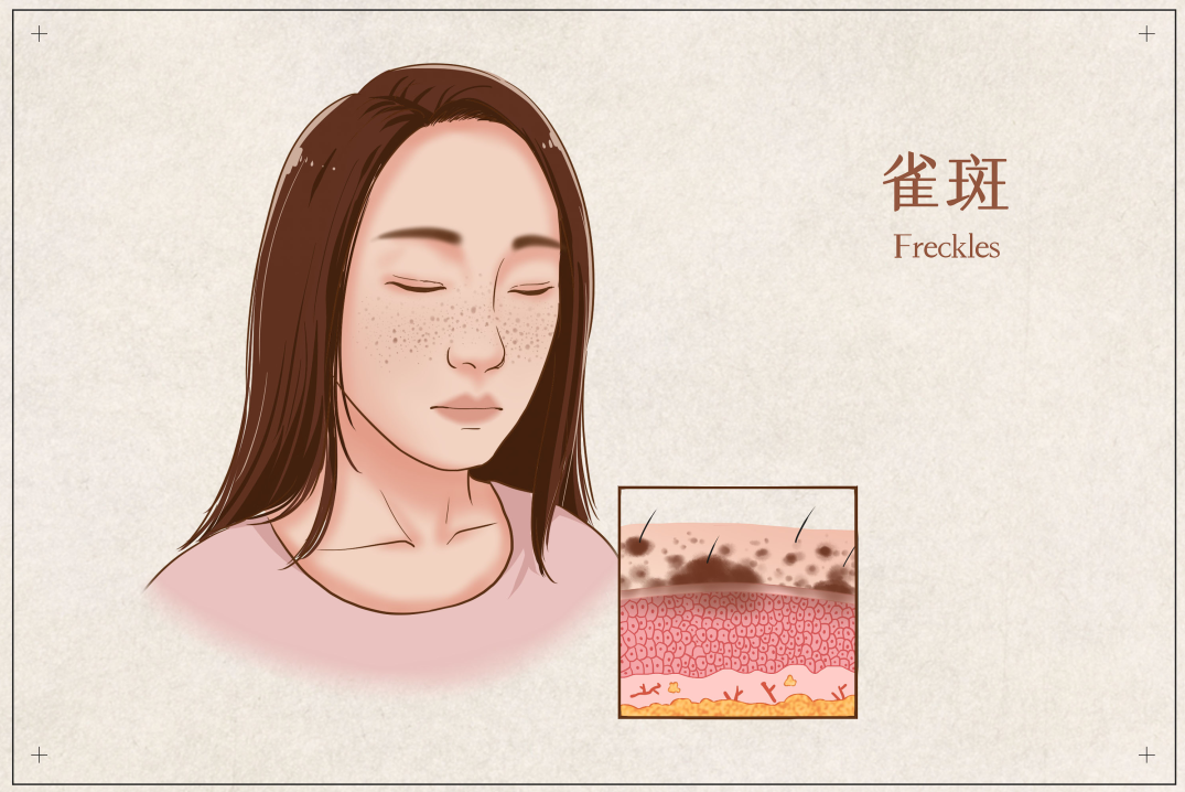 茶葉批發(fā)丨養(yǎng)生茶丨艾條的作用丨艾灸養(yǎng)生