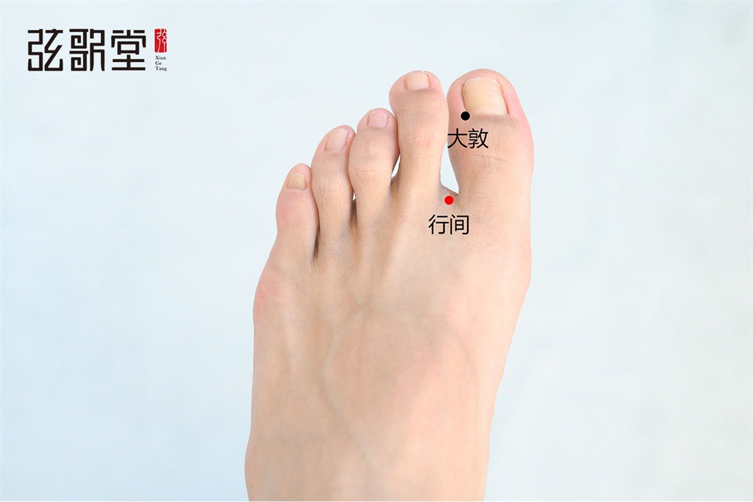 弦歌堂艾養(yǎng)生