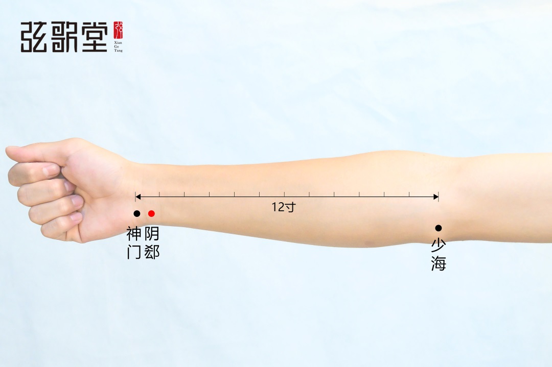 弦歌堂艾養(yǎng)生