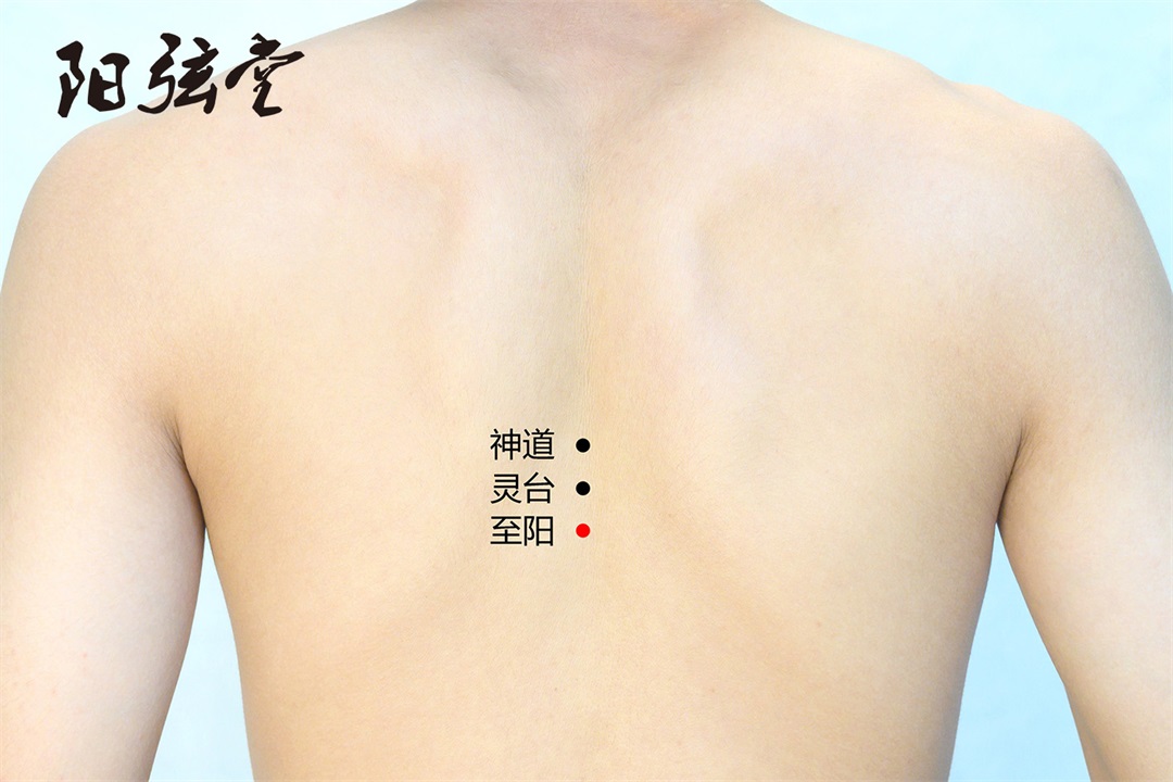 茶葉批發(fā)丨養(yǎng)生茶丨艾條的作用丨艾灸養(yǎng)生