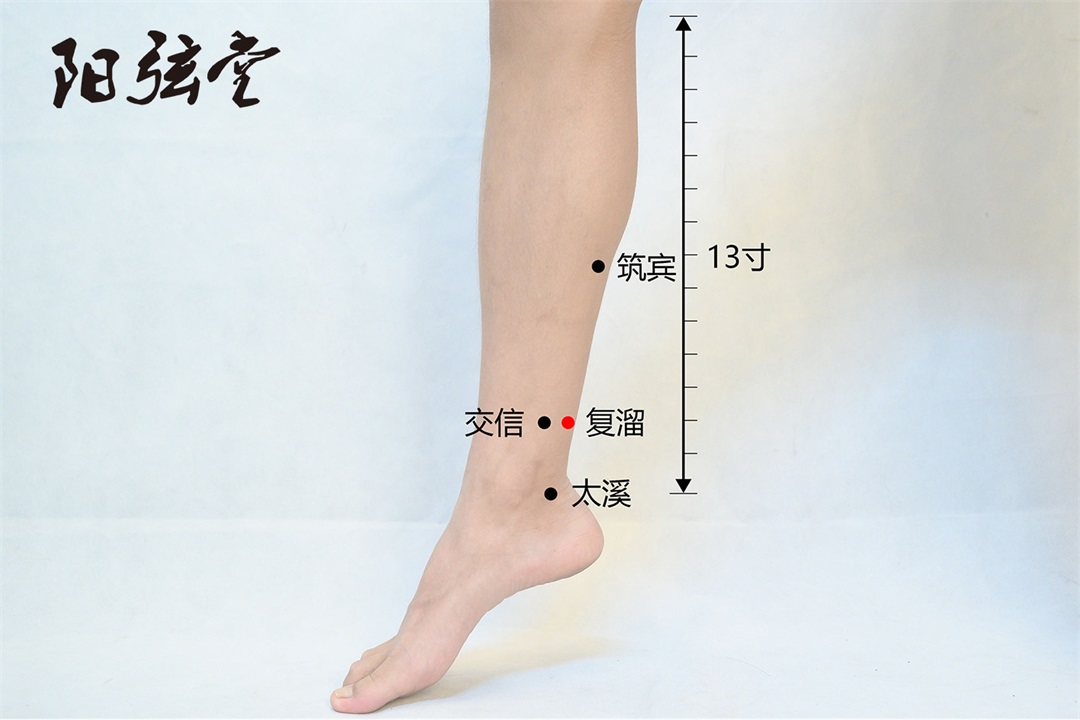 弦歌堂艾養(yǎng)生