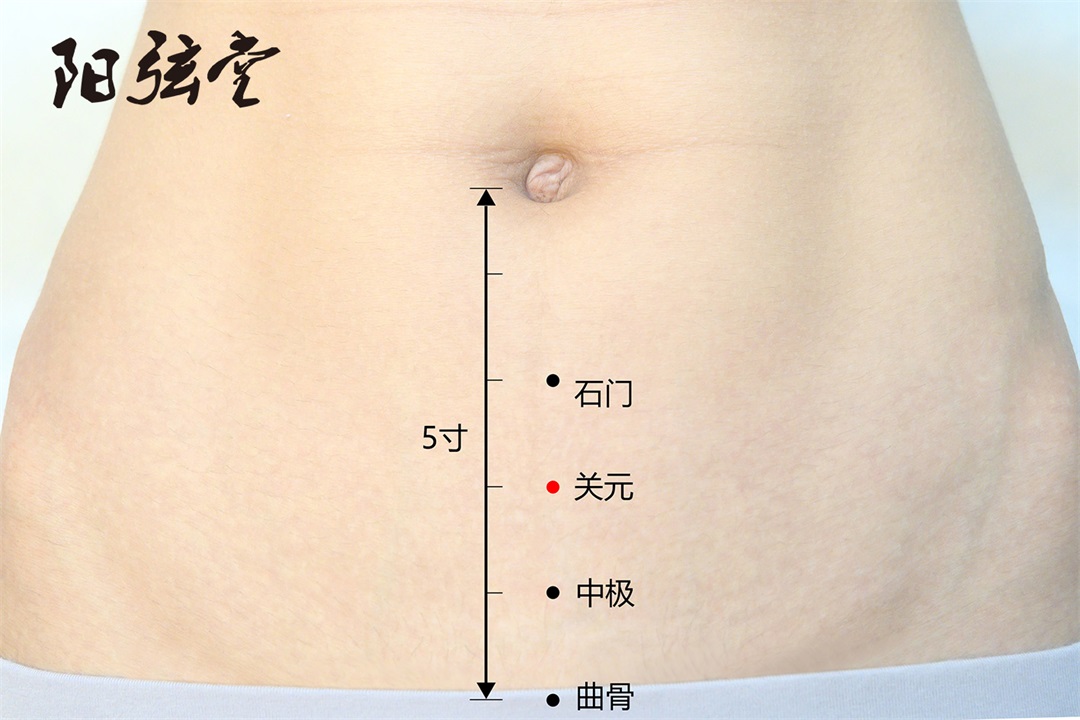 弦歌堂艾養(yǎng)生