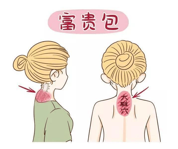 茶葉批發(fā)丨養(yǎng)生茶丨艾條的作用丨艾灸養(yǎng)生