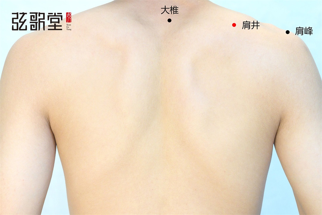 茶葉批發(fā)丨養(yǎng)生茶丨艾條的作用丨艾灸養(yǎng)生