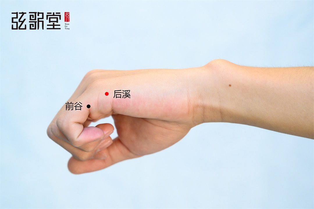 茶葉批發(fā)丨養(yǎng)生茶丨艾條的作用丨艾灸養(yǎng)生