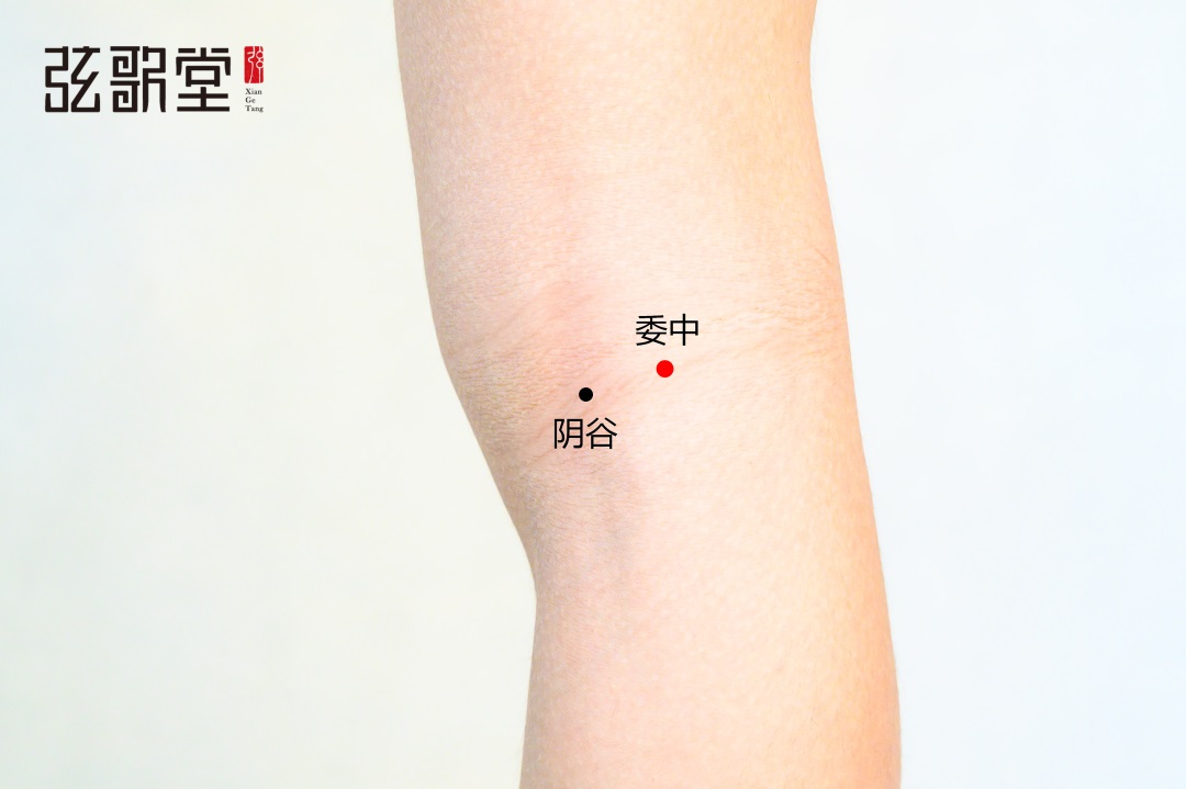 茶葉批發(fā)丨養(yǎng)生茶丨艾條的作用丨艾灸養(yǎng)生