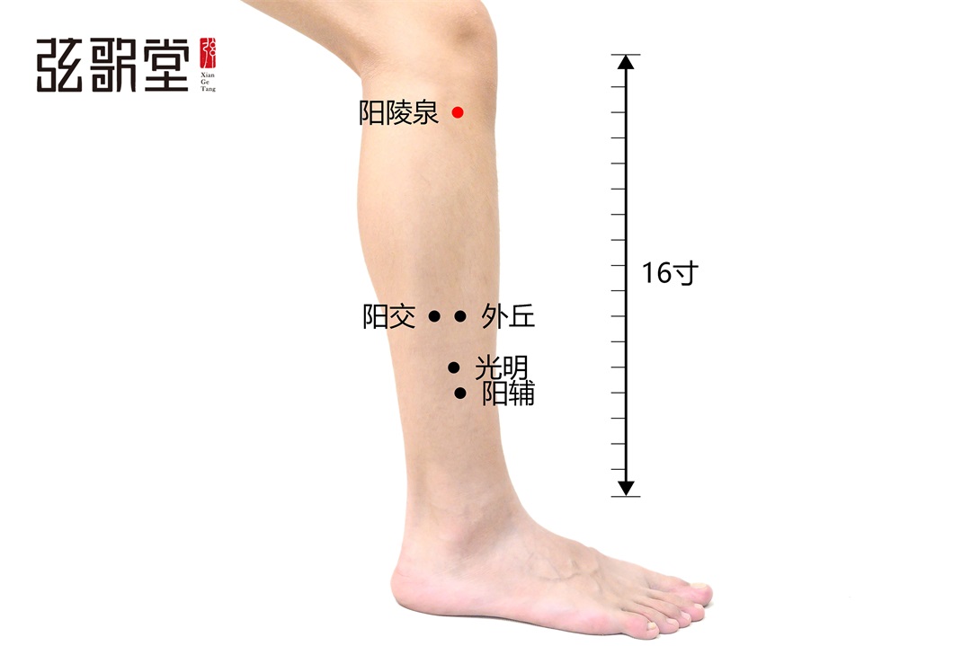 茶葉批發(fā)丨養(yǎng)生茶丨艾條的作用丨艾灸養(yǎng)生