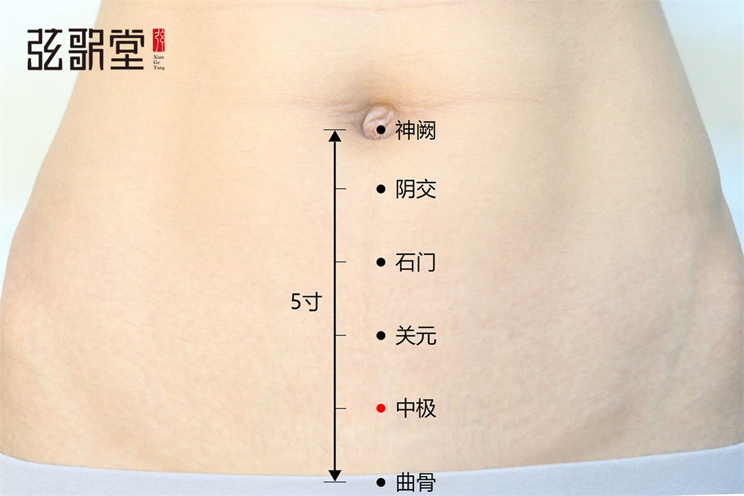 弦歌堂艾養(yǎng)生