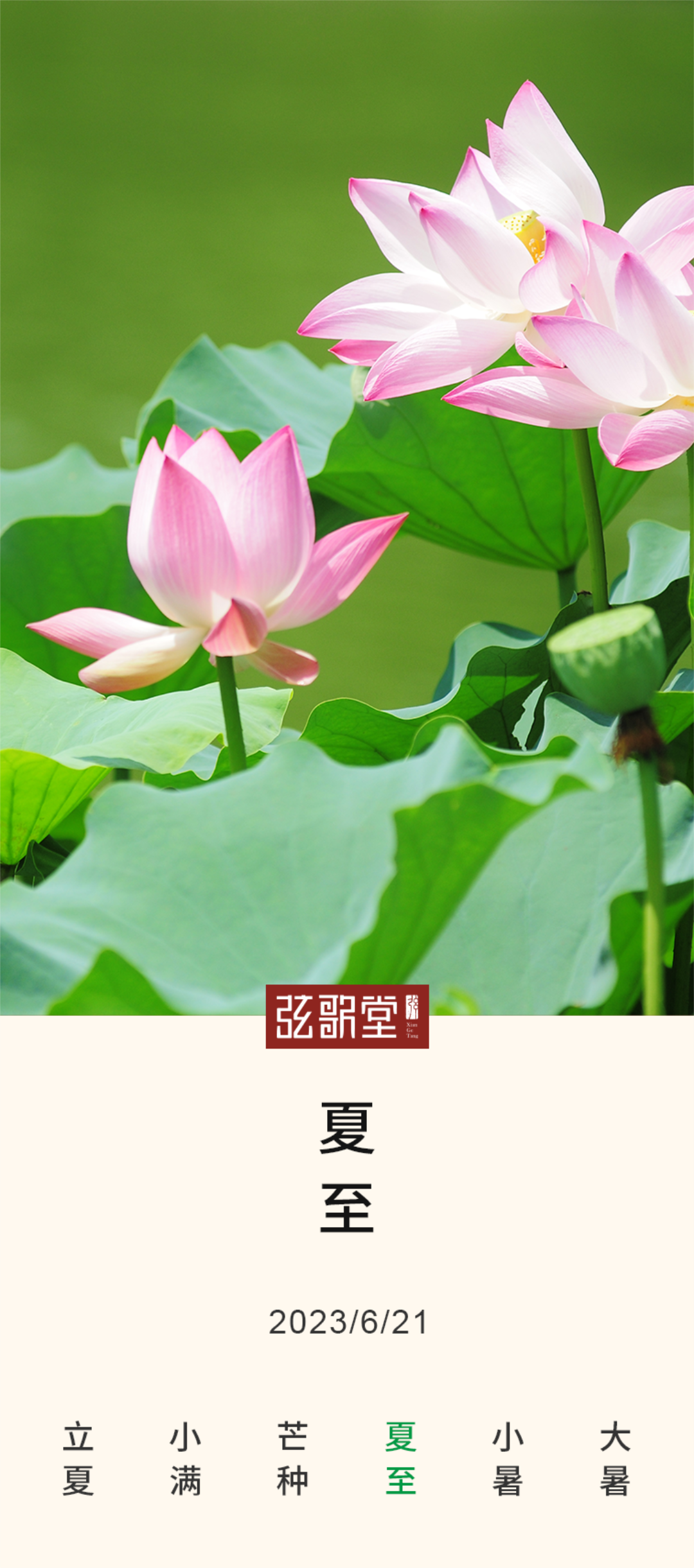 茶葉批發(fā)丨養(yǎng)生茶丨艾條的作用丨艾灸養(yǎng)生