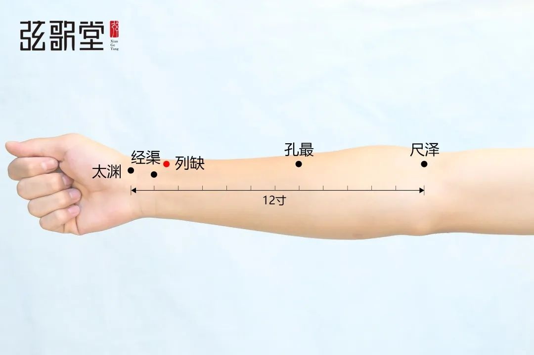 弦歌堂艾養(yǎng)生