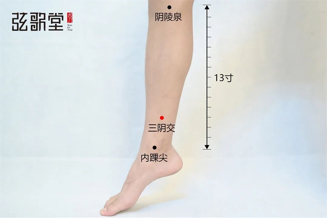 弦歌堂艾養(yǎng)生