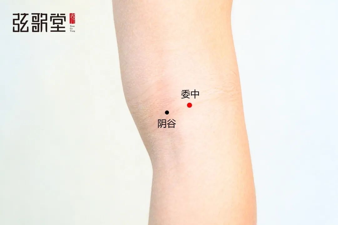 弦歌堂艾養(yǎng)生