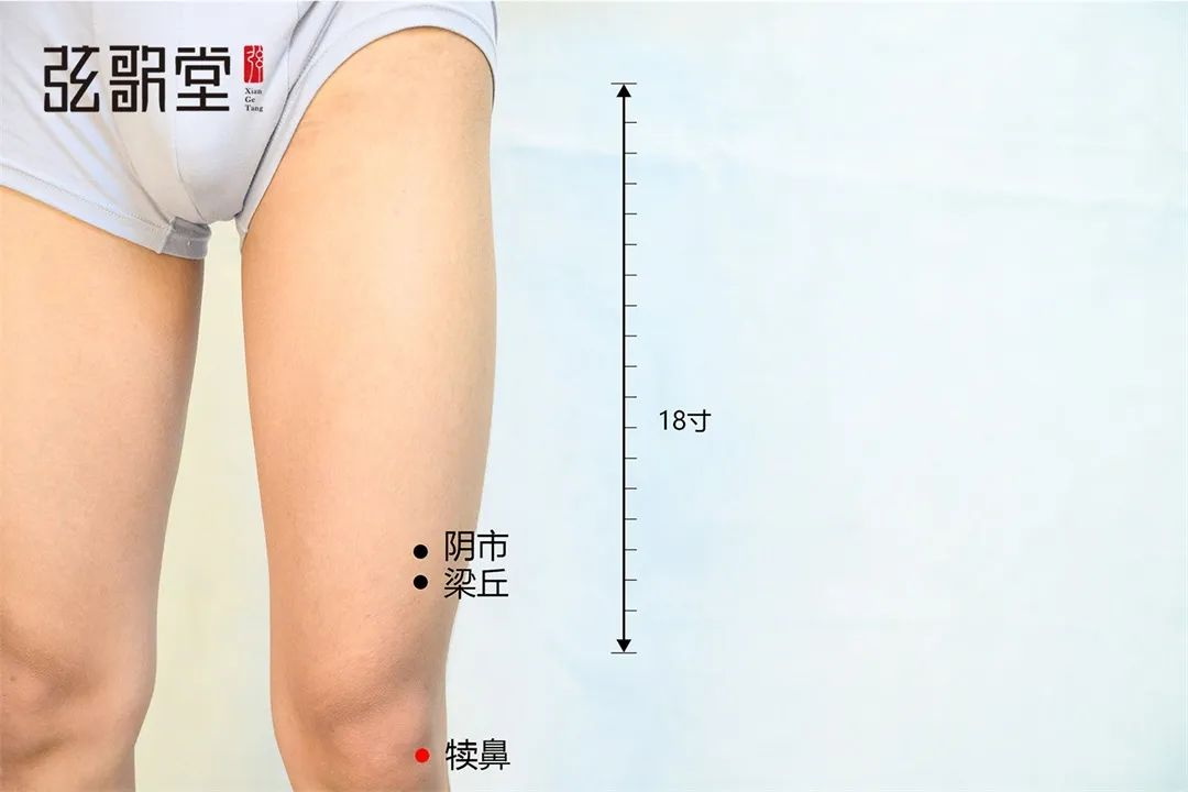 弦歌堂艾養(yǎng)生